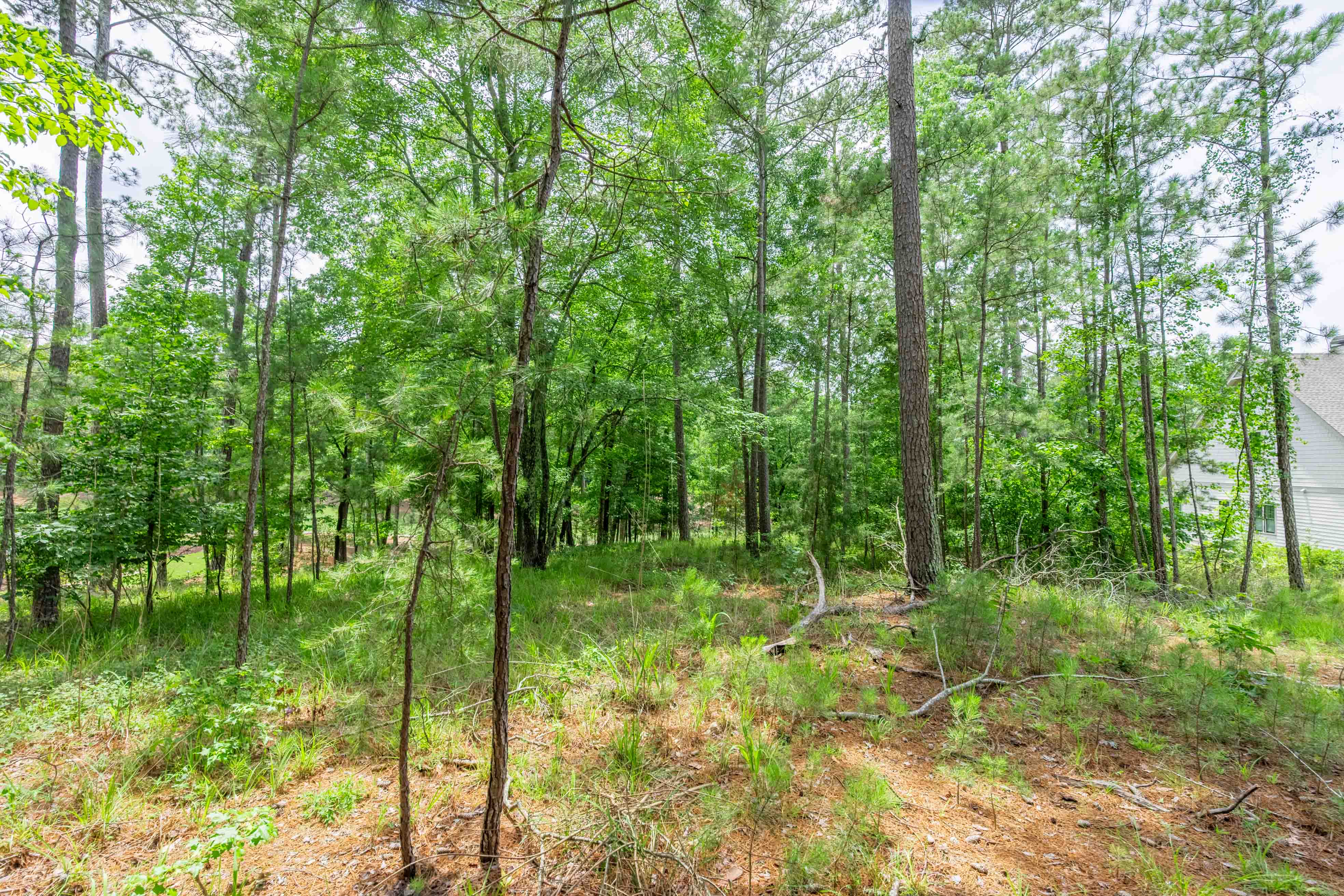 1101 Scull Shoals Drive image 13